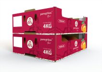 Mango---Caja-maritima-(perspectiva)