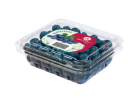 PNG---arandanos-clamshell-max-1