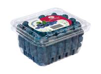 PNG---arandanos-clamshell-max-2