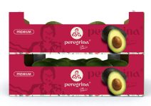 Palta---Caja-maritima-(frontal)